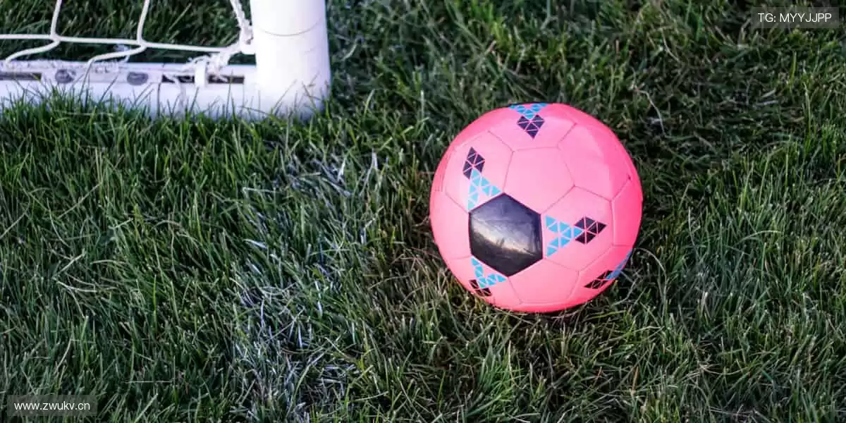 📱🎥 实时追踪，高清无死角！